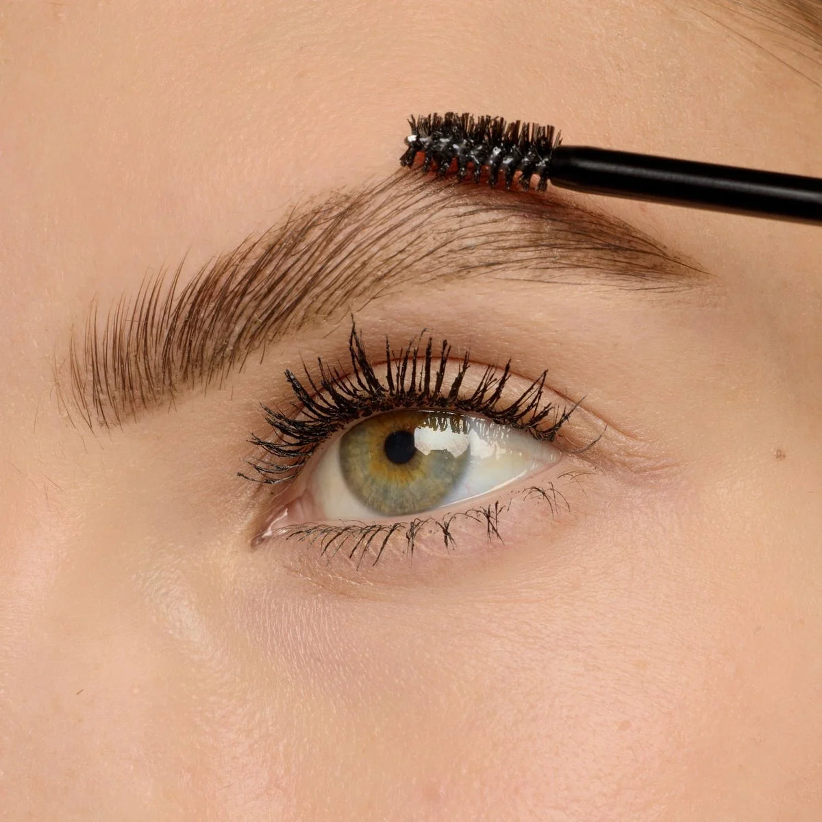 Cejas